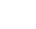 Wiseside