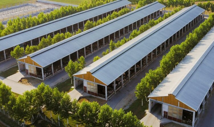 iChain 2.0 nella filiera agroalimentare: un caso concreto