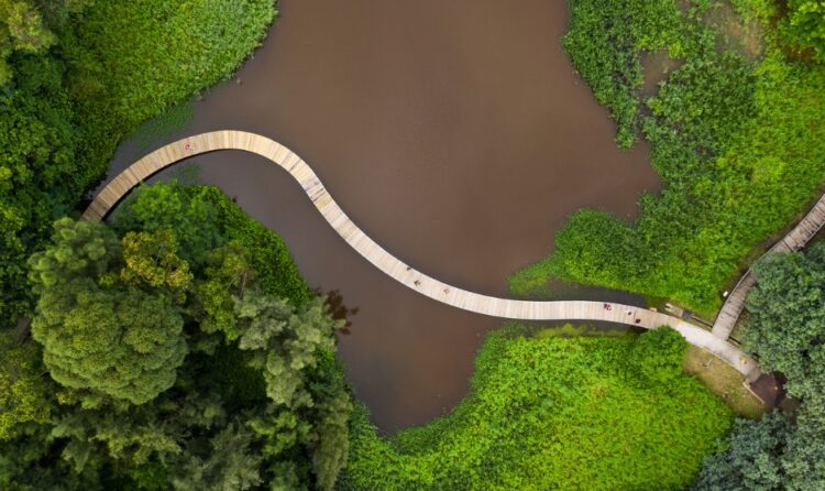 CLIMAVIBE dati e biodiversità perché misurare conviene