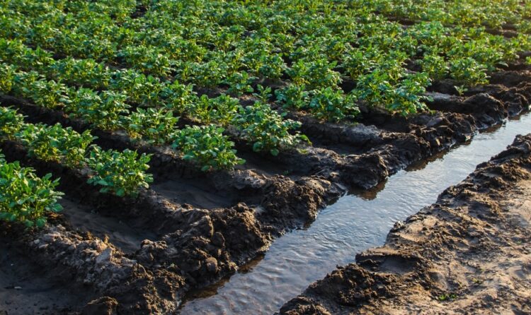 CLIMAVIBE perché ti riguarda da vicino