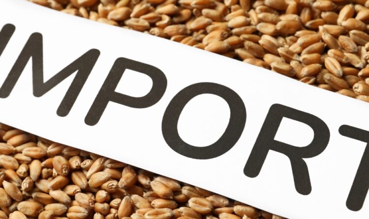 EUDR quando la tracciabilità diventa un problema operativo