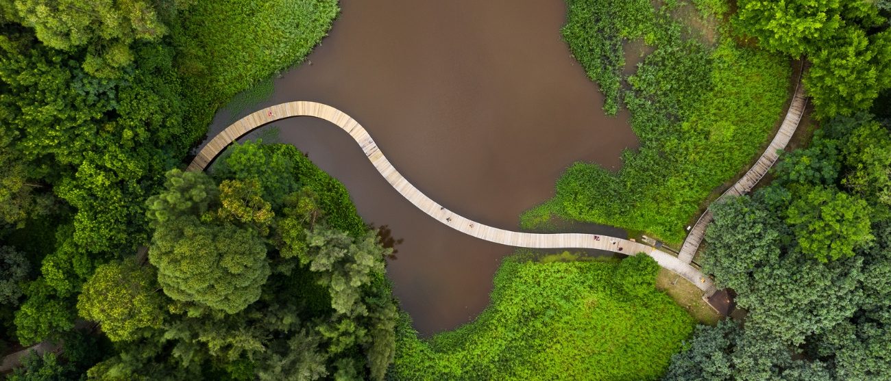 CLIMAVIBE dati e biodiversità perché misurare conviene