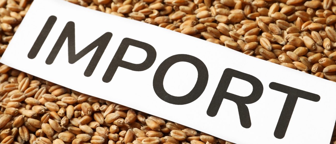 EUDR quando la tracciabilità diventa un problema operativo