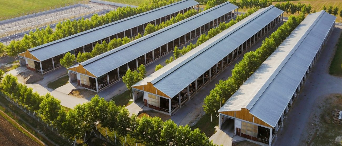 iChain 2.0 nella filiera agroalimentare: un caso concreto